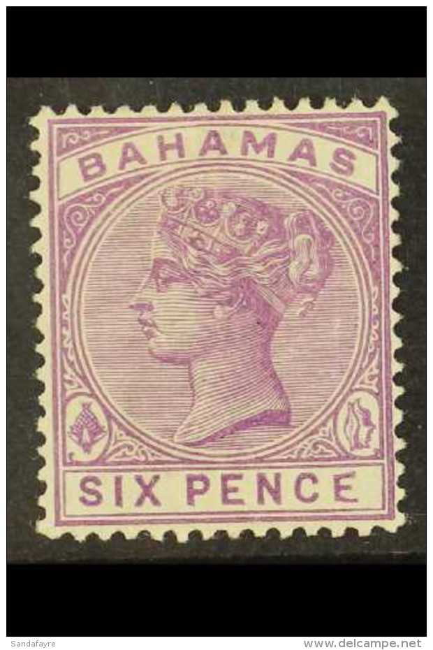 1884-90 6d Mauve QV, Variety "MALFORMED E", SG 54a, Very Fine Mint. Fresh And Attractive! For More Images, Please... - Autres & Non Classés