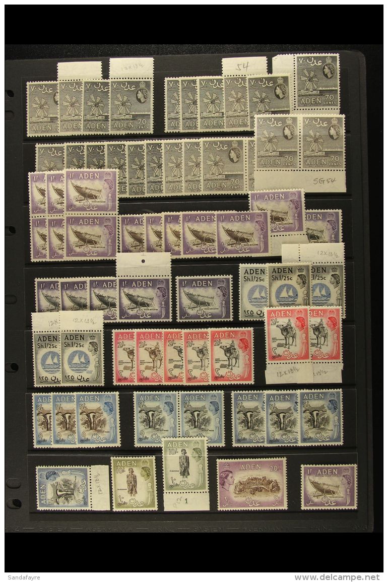 1953-63 QEII MINT HOARD Of The First Pictorial Issues On Stockpages, Mostly NHM With Shaded Ranges Of All Values... - Aden (1854-1963)