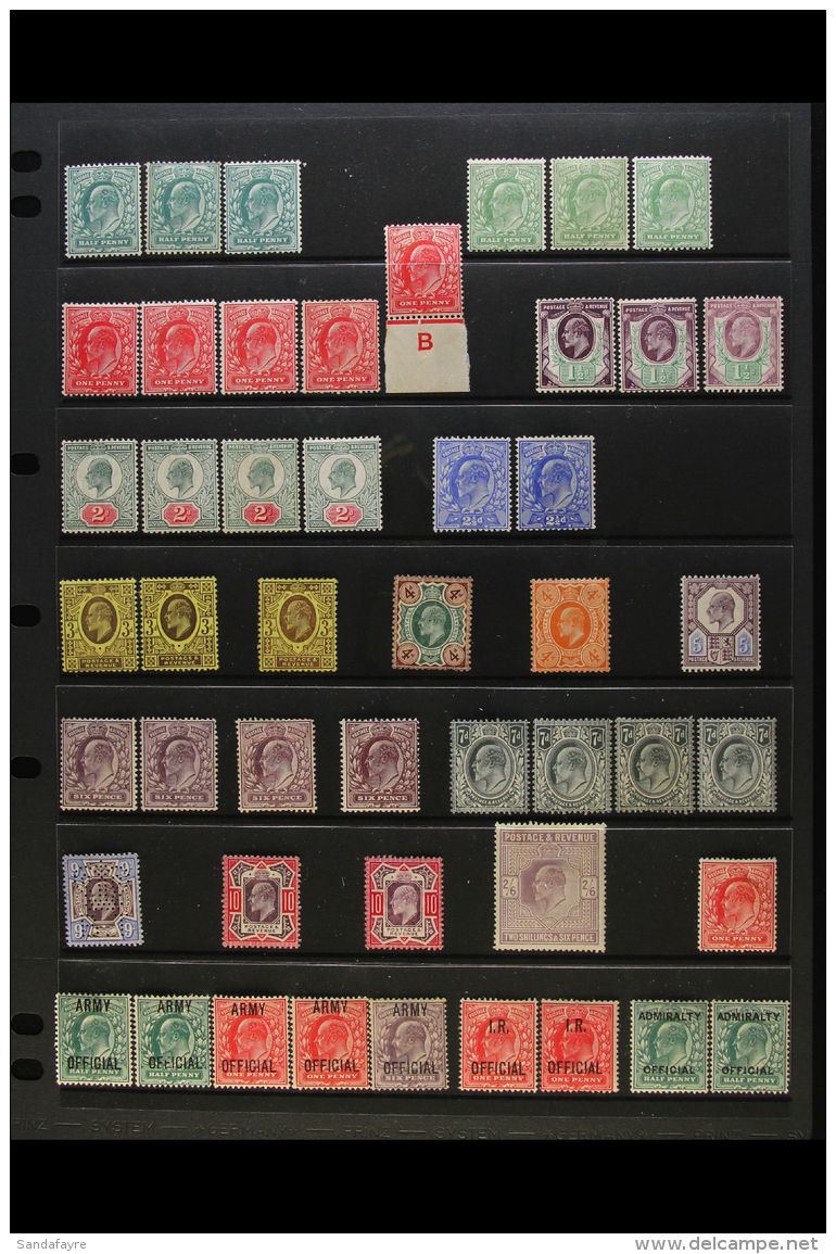 1902-1911 MINT COLLECTION With Shades &amp; Paper Types On A Stock Page, Comprising &frac12;d (x6), 1d (x6, One... - Unclassified