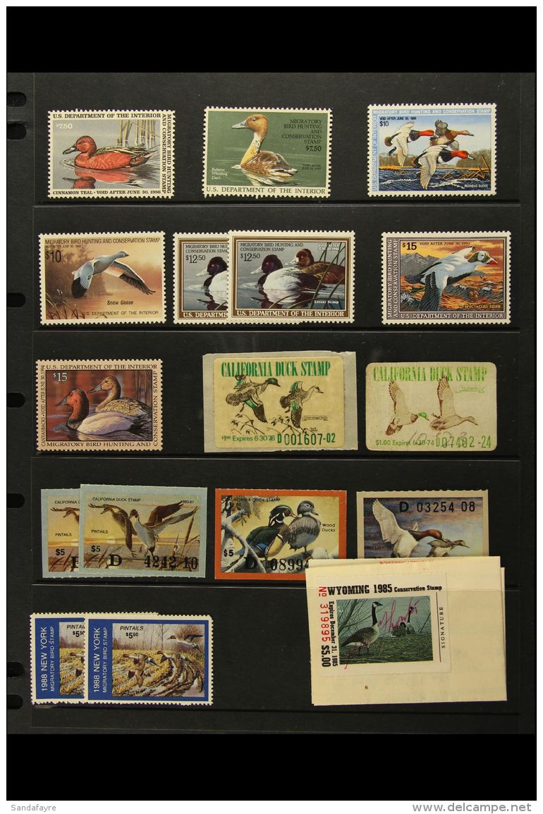 DUCK (HUNTING PERMIT) STAMPS 1934-93 MINT &amp; USED ACCUMULATION On Stock Pages. A Strong &amp; High Catalogue... - Sonstige & Ohne Zuordnung