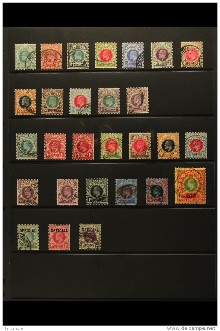 NATAL 1902-1909 KEVII Fine Used All Different Collection. With 1902-03 Set To 2s6d; 1904-08 Set To 1s, Plus 2s6d;... - Ohne Zuordnung