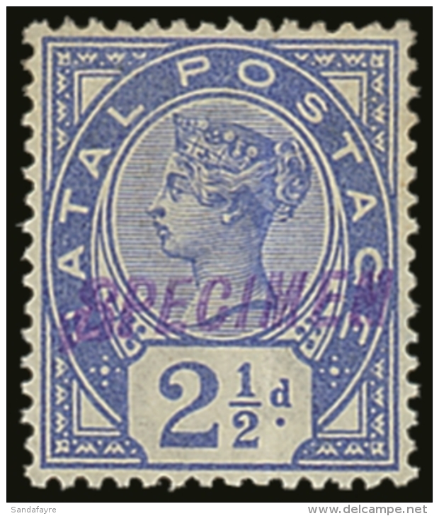 NATAL 1891 2&frac12;d Bright Blue, Overprinted "Specimen", SG 113s, Fine Mint. For More Images, Please Visit... - Ohne Zuordnung