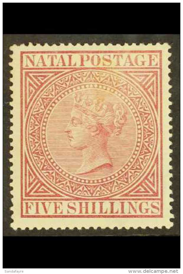 NATAL 1874-99 5s Maroon, Perf 14, SG 71, Mint, Light Discoloration Above The Queen's Head, Otherwise Very Fresh... - Ohne Zuordnung