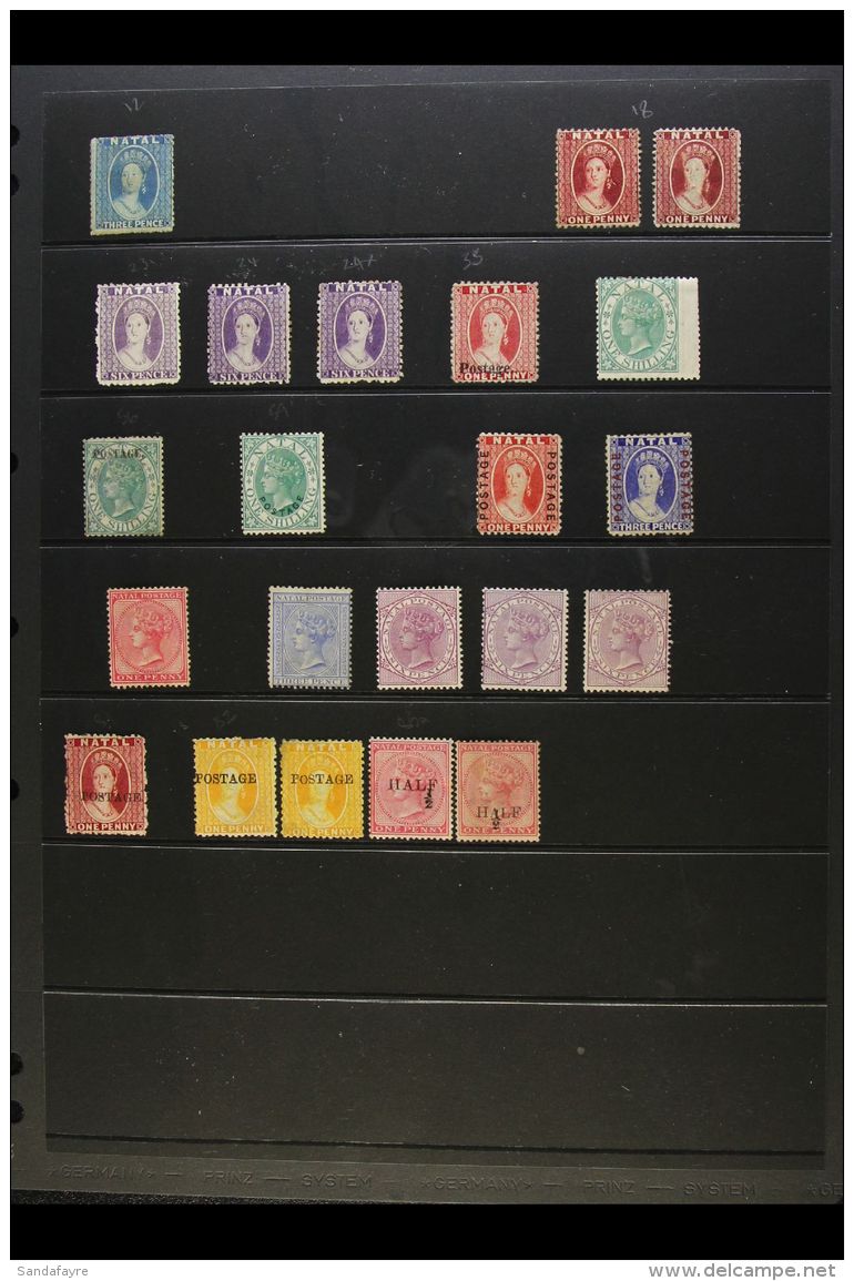 NATAL 1861-1909 VALUABLE MINT COLLECTION CAT &pound;4750+ Neatly Presented On Stock Pages. Includes 1861-62 3d... - Non Classés