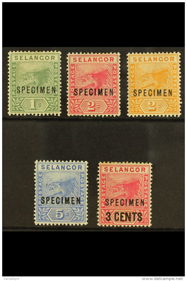 SELANGOR 1891 - 4 Tigers Set Plus 3c Overprint Overprinted "Specimen", SG 49s/53s, Very Fine Mint. (5 Stamps) For... - Andere & Zonder Classificatie