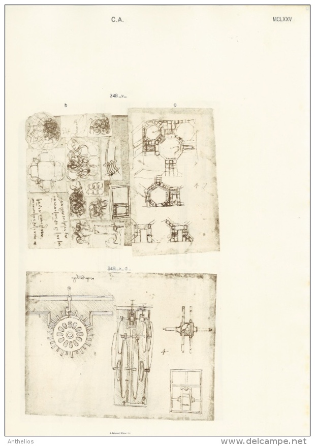 Codice Atlantico - Eliotipia - Stampa Originale Del 1894-1904 - Altri & Non Classificati