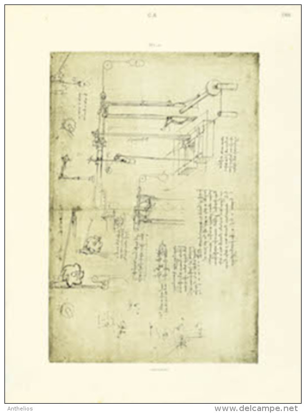 Codice Atlantico - Eliotipia - Stampa Originale Del 1894-1904 - Altri & Non Classificati