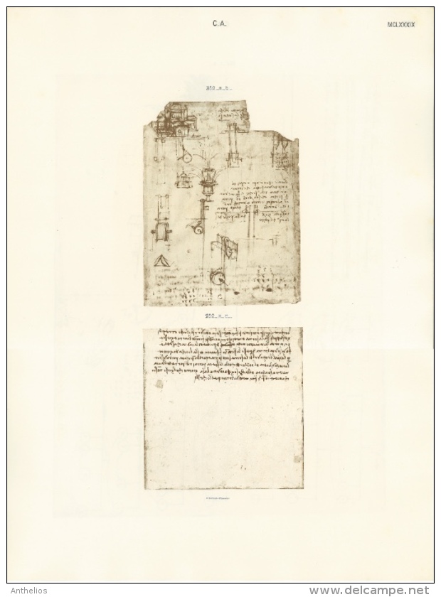 Codice Atlantico - Eliotipia - Stampa Originale Del 1894-1904 - Altri & Non Classificati