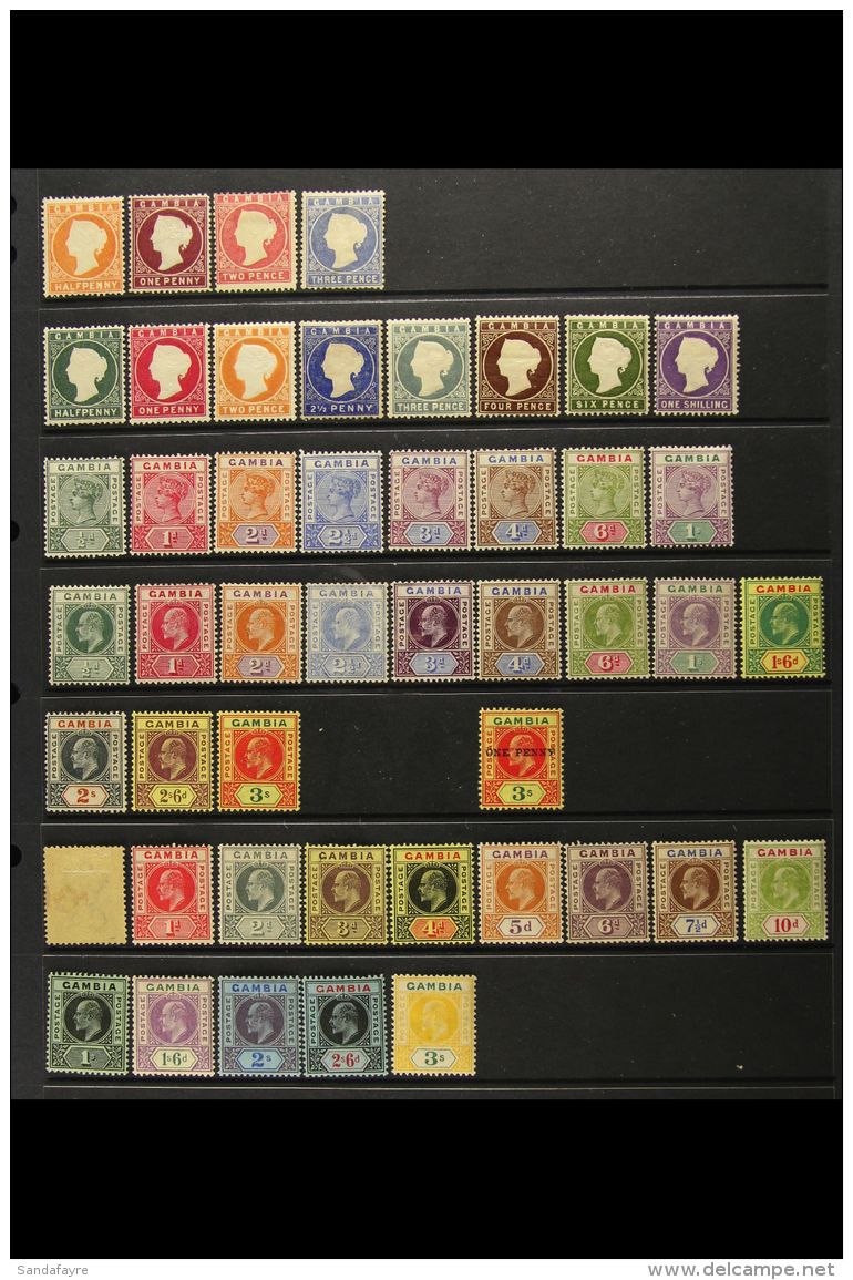 1880-1909 FINE MINT COLLECTION On A Stock Page, ALL DIFFERENT, Inc 1880-81 Wmk Upright Set To 3d (2d Unused),... - Gambia (...-1964)