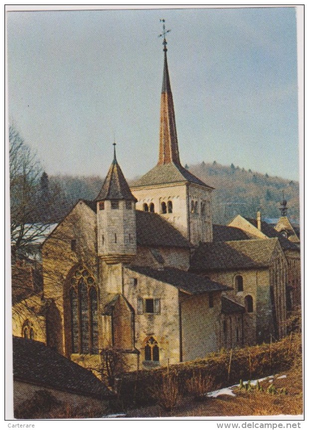 SUISSE,HELVETIA,SWISS,switzerland,schweiz,SVIZZERA,VAUD,ABBATIALE CLUNISIENNE,ST PIERRE ET PAUL,ROMAINMOTIER,BENEDICTIN - Romainmôtier-Envy