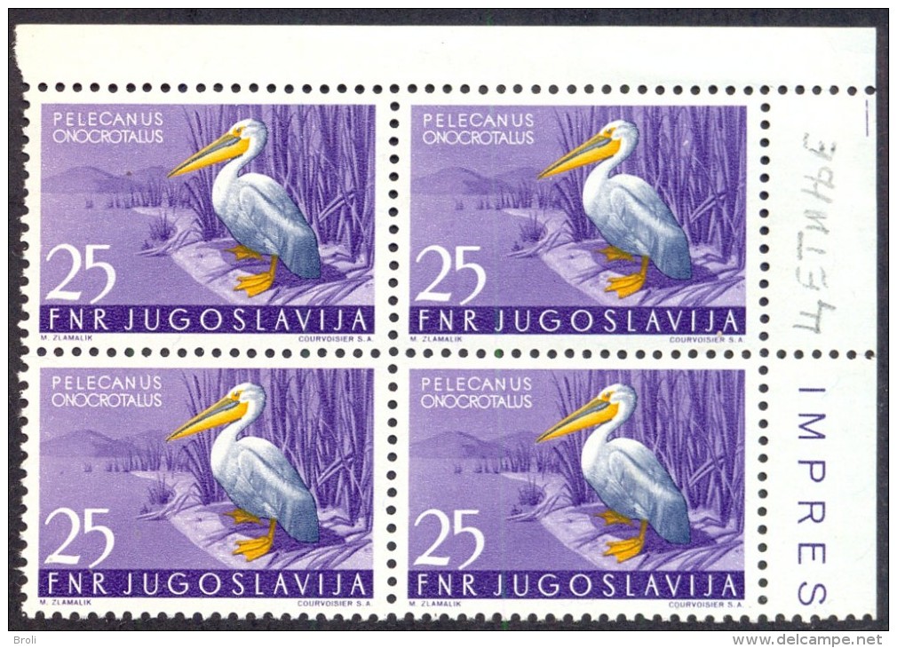 YUGOSLAVIA - JUGOSLAVIA - PELICAN  Bl Of 4x - **MNH - 1954 - Pelikane