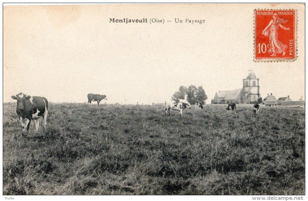 MONTJAVOULT UN PAYSAGE (VACHES) - Montjavoult