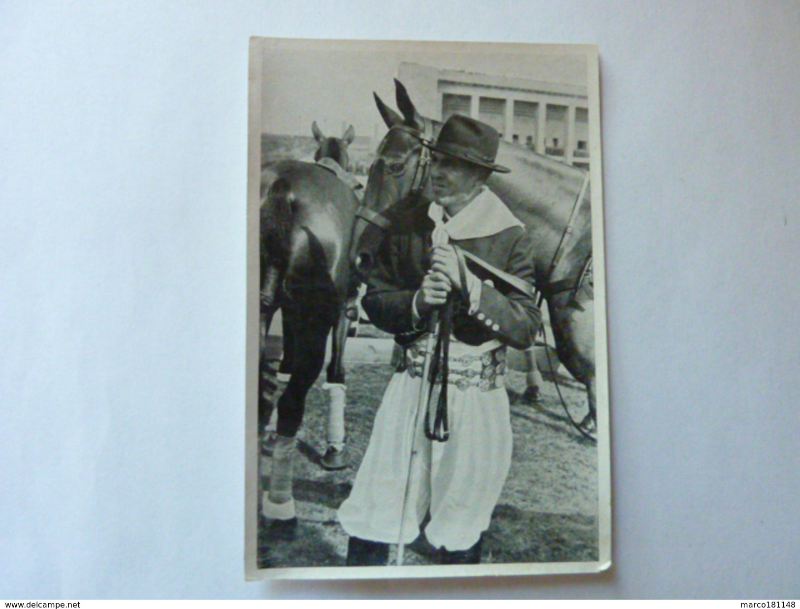 OLYMPIA 1936 - Band II - Bild Nr 178  Gruppe 61 - Cheval Mexicain Tournoi De Polo - Sport