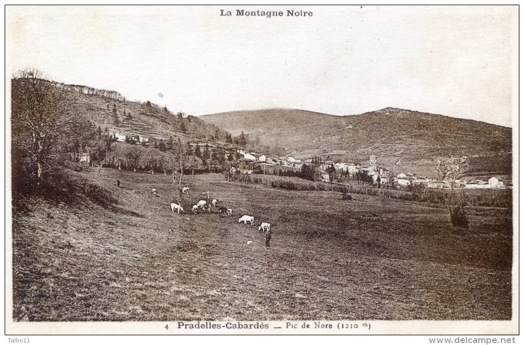 La Montagne Noire - Pradelles Cabardes - Pic De Nore - Castelnaudary