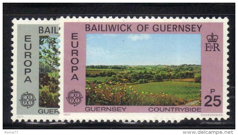 GUERNSEY 1977 , Serie Completa N. 142/143  *** MNH Europa - Guernesey