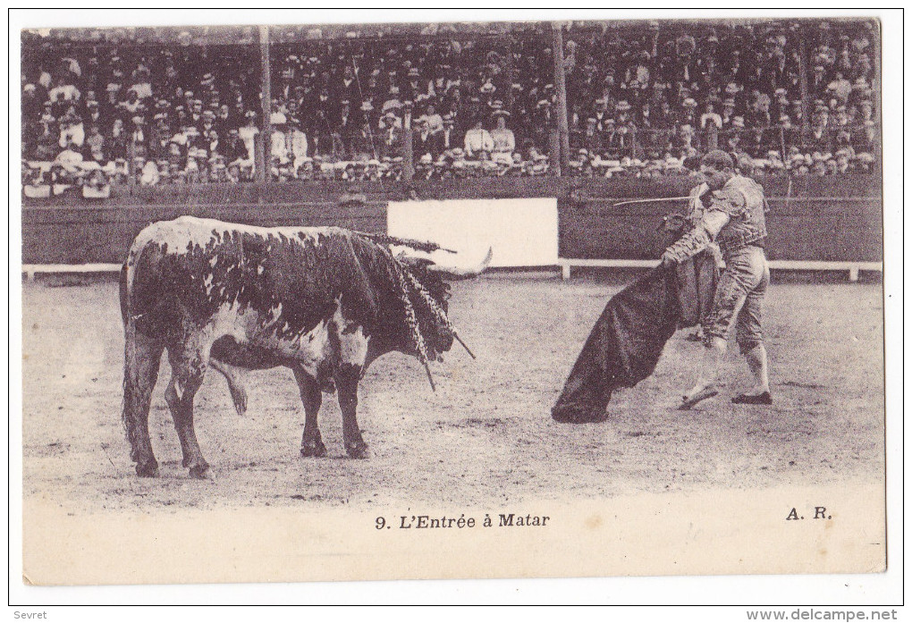 Course De Taureaux - L'Entrée à Matar - Corridas