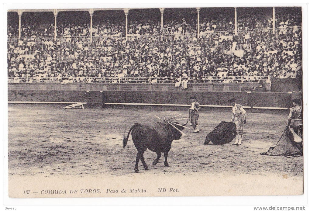 Course De Taureaux - Paso De Muleta - Corridas