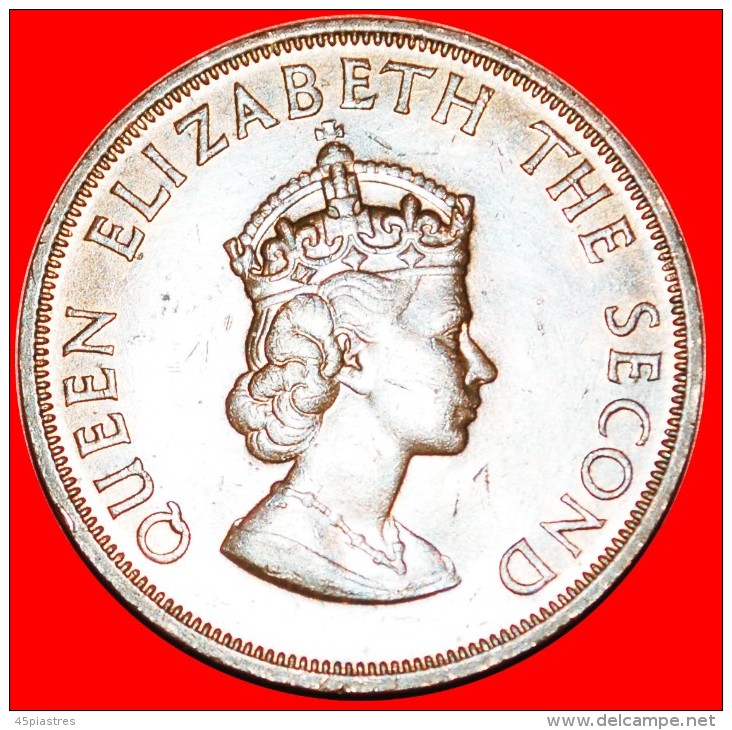 * GREAT BRITAIN: JERSEY ★ 1/12 SHILLING 1964 MINT LUSTRE! LOW START&#9733;NO RESERVE! - Jersey