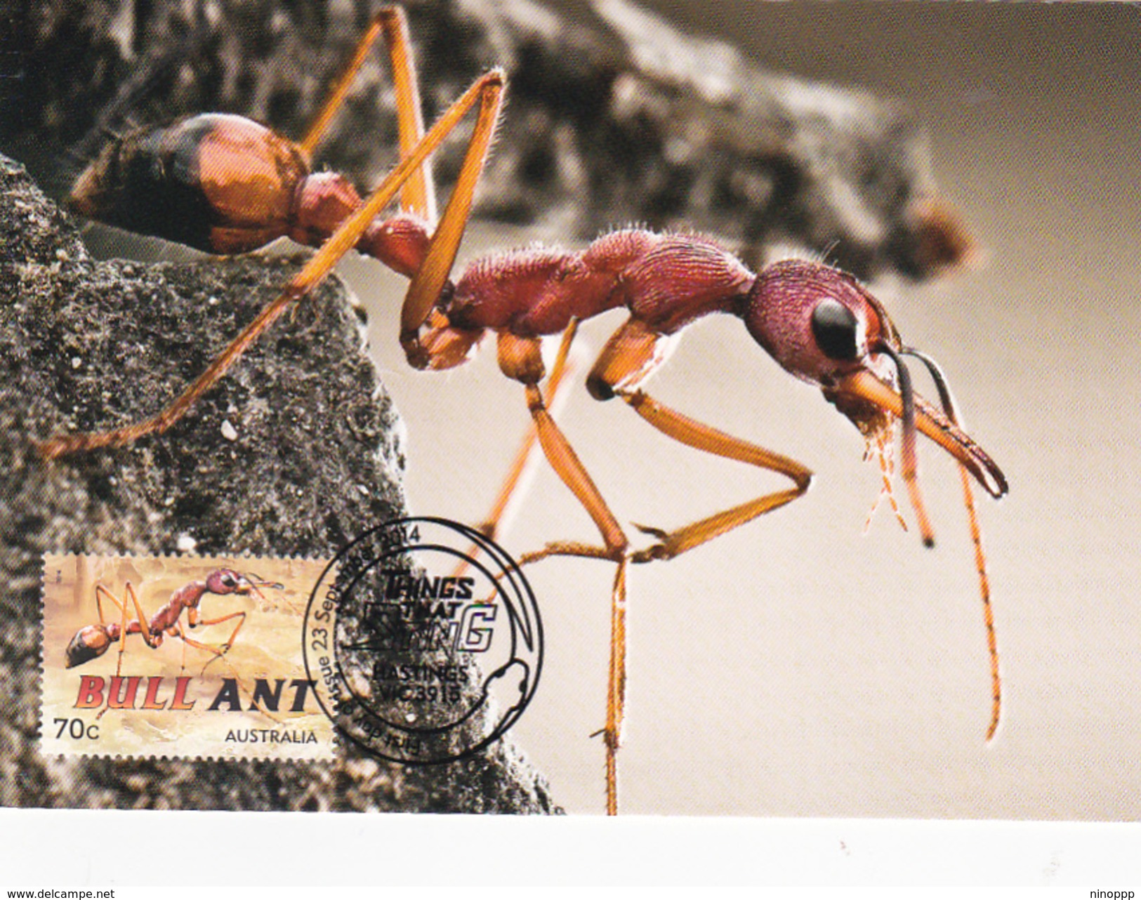 Australia 2014 Things That Sting,Bull Ant, Maximum Card - Maximumkaarten