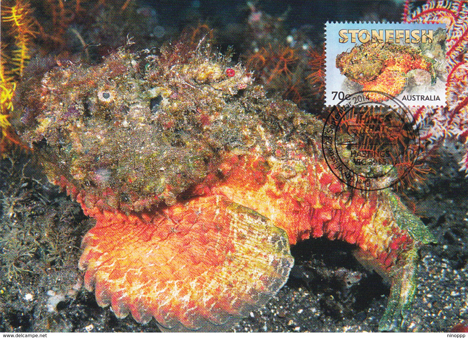 Australia 2014 Things That Sting,Stonefish, Maximum Card - Cartes-Maximum (CM)