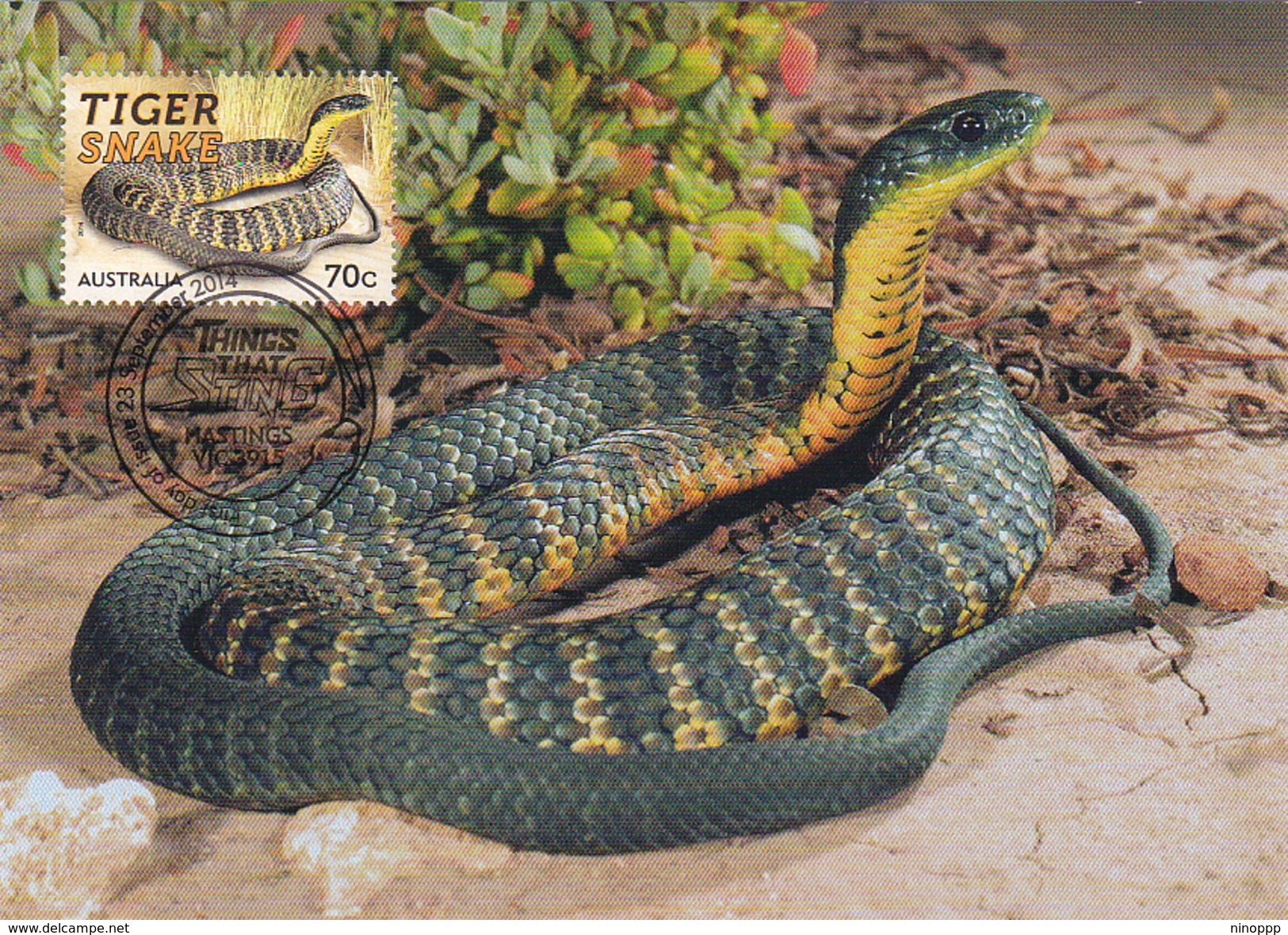 Australia 2014 Things That Sting,Tiger Snake, Maximum Card - Maximum Cards