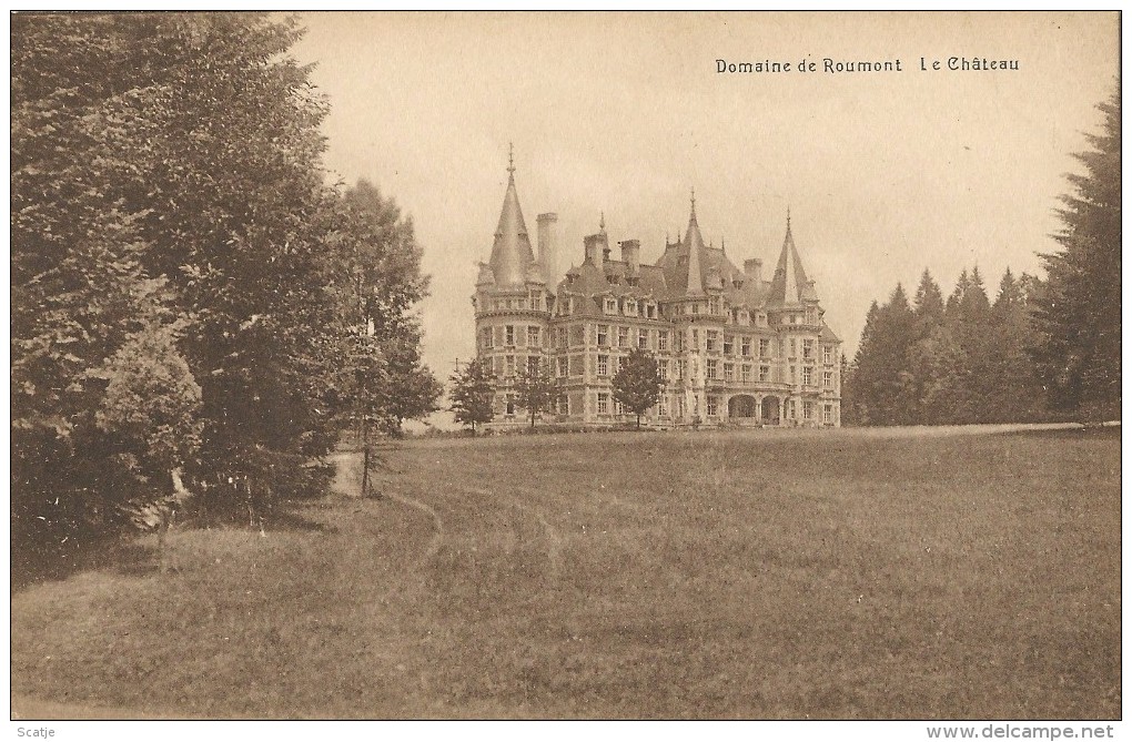 Domaine De Roumont   Le Château - Bertogne