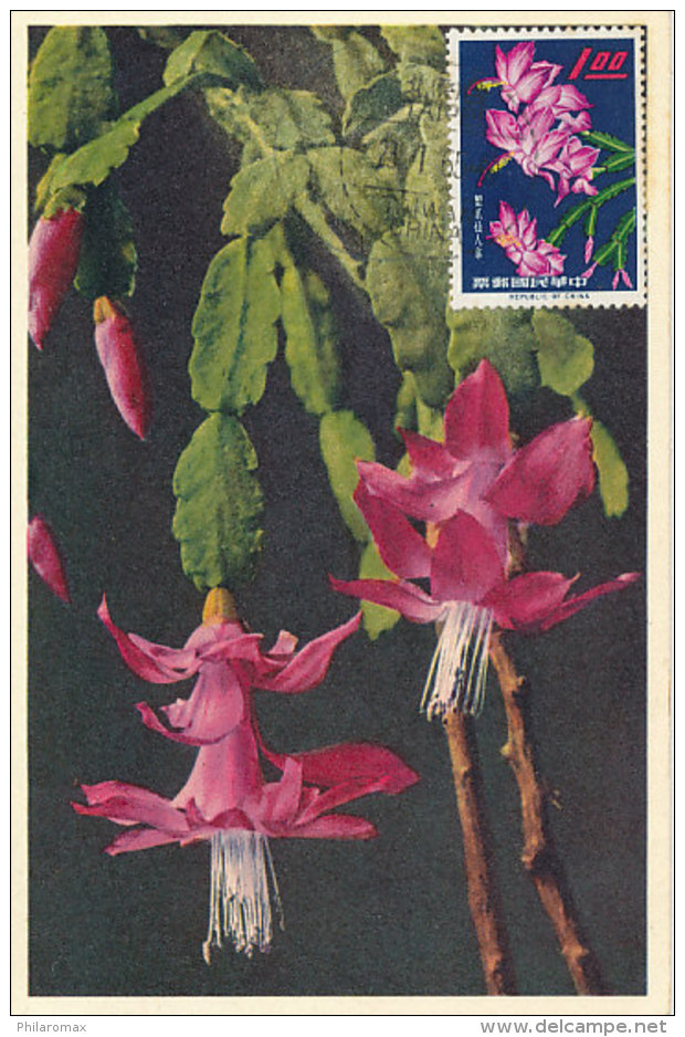 D26335 CARTE MAXIMUM CARD RRR 1965 CHINA - TAIWAN - EPIPHYLLUM SUCCULENT PLANT CACTUS CP ORIGINAL - Cartoline Maximum