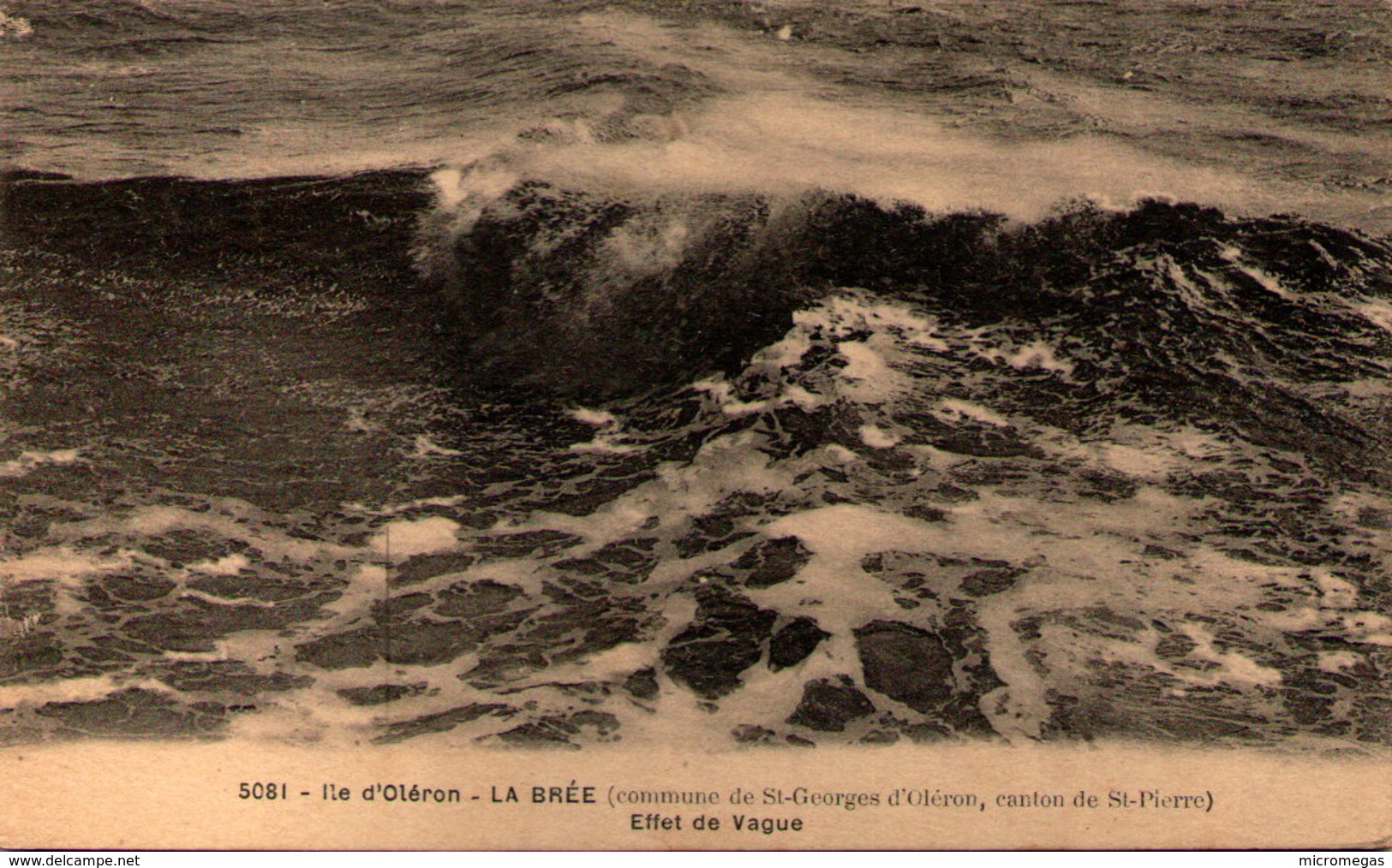 ILE D´OLÉRON -  LA BRÉE - Effet De Vague - Ile D'Oléron