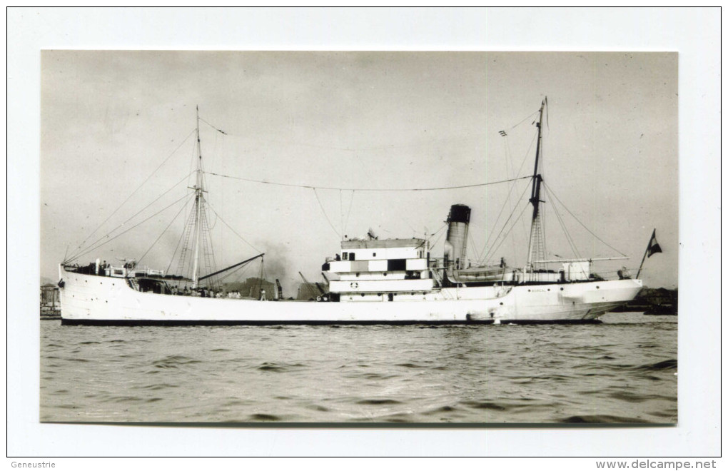 Photo-carte Du Chalutier "Boréal, Ex - Rémy Chuinard" Granville - Normandie - Morutier - Terre-Neuve - New Foundland - Pêche