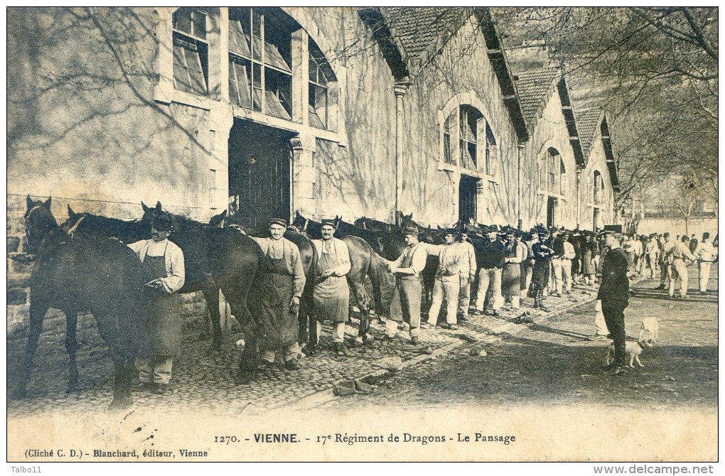 Vienne  - 17 Ième Régiment De Dragons - Le Pansage - Vienne