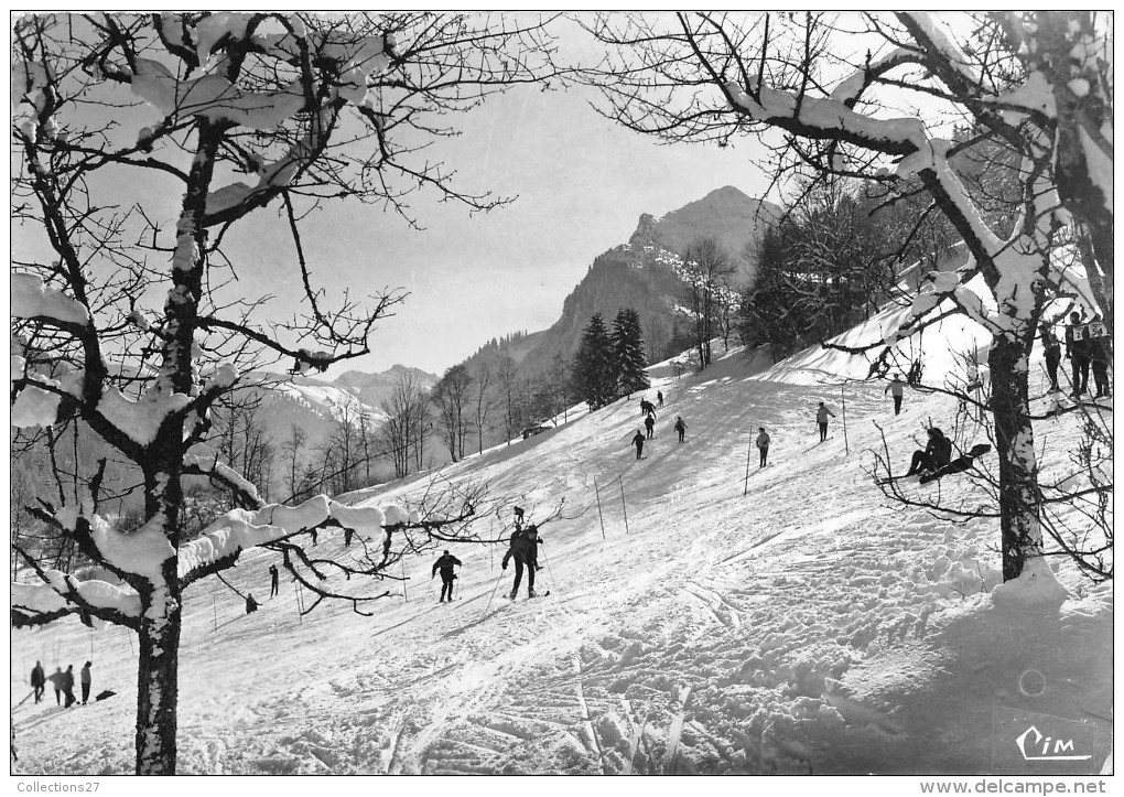 74-MORZINE- ECHAPPEE SUR LA POINTE DE NYON - Morzine