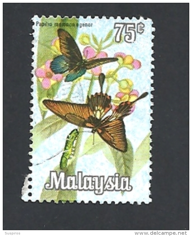 MALESIA   -  1970 Butterflies    USED - Malesia (1964-...)