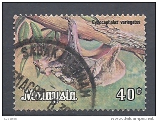 MALESIA   -  1979 -1985 Animals      USED  Cynocephalus Variegatus - Malaysia (1964-...)