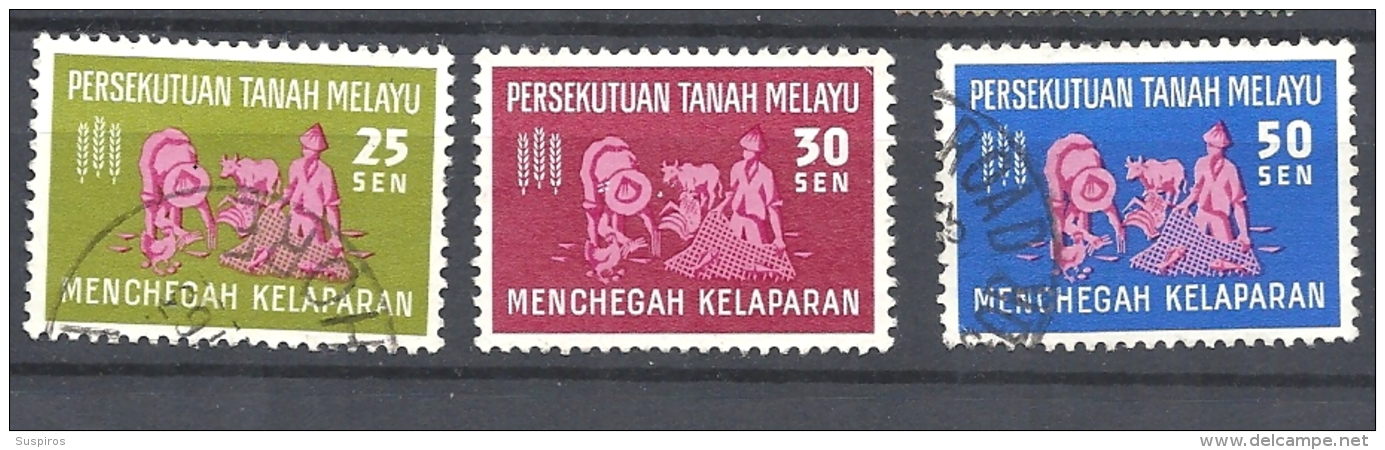 MALESIA   -FEDERATION OF MALAYA    1963 Freedom From Hunger Campaign     USED - Federation Of Malaya