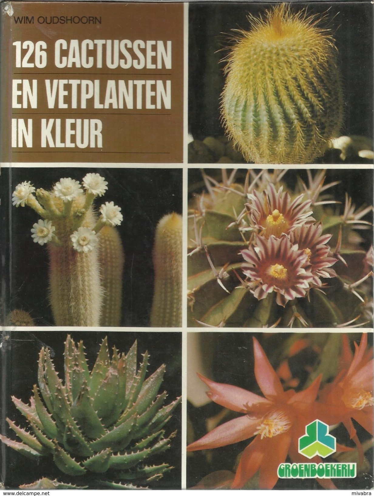 126 CACTUSSEN EN VETPLANTEN IN KLEUR - WIM OUDSHOORN - Reeks GROENBOEKERIJ - Encyclopédies