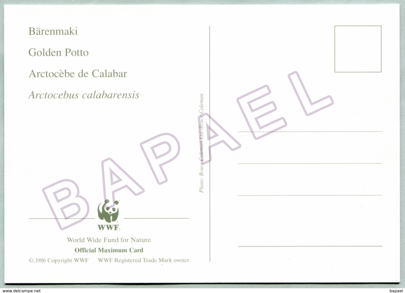 Enveloppe + Carte Postale FDC - République Du Congo (1998) - WWF (N° YT Du Timbre 1053) - Arctocèbe De Calabar - FDC