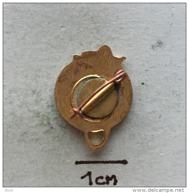 Badge (Pin) ZN003320 - Soviet (USSR / SSSR / Russia) Space Program - Space
