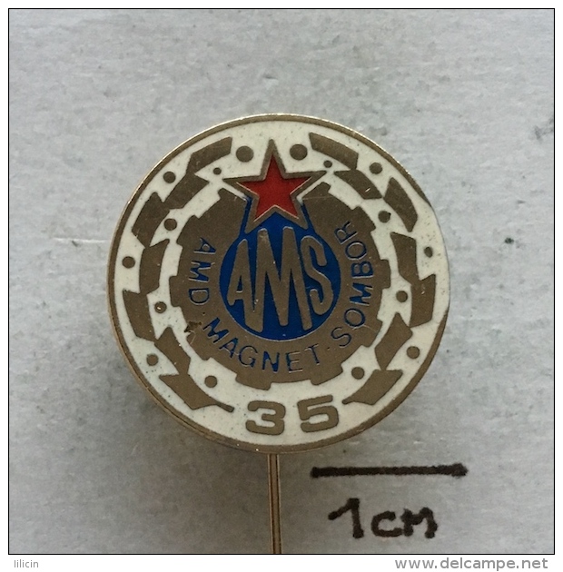 Badge (Pin) ZN003326 - Automobile (Car) Auto Moto Drustvo "Magnet" Sombor AMSJ (Yugoslavia) - Other & Unclassified