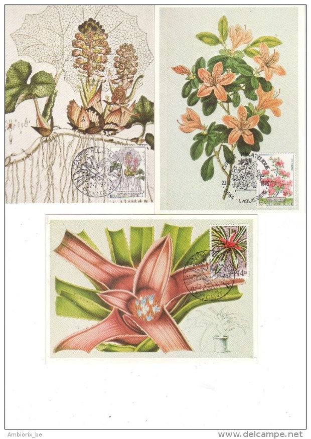 Carte Max Floralies 1749-1751 - 1971-1980