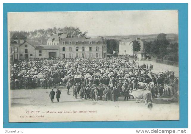 CPA Métier Maquignons Marché Aux Boeufs CHOLET 49 - Cholet