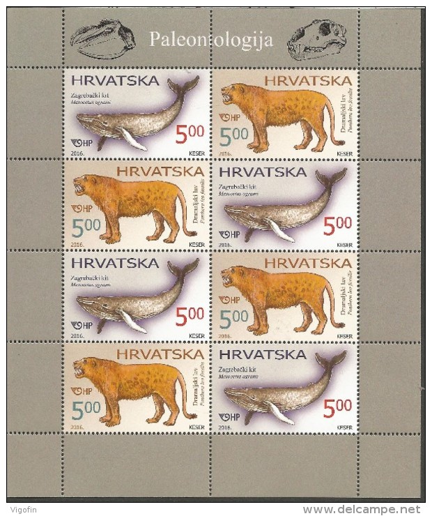 HR 2016-1245-6 PALENTOLOGY, MS, MNH - Kroatien