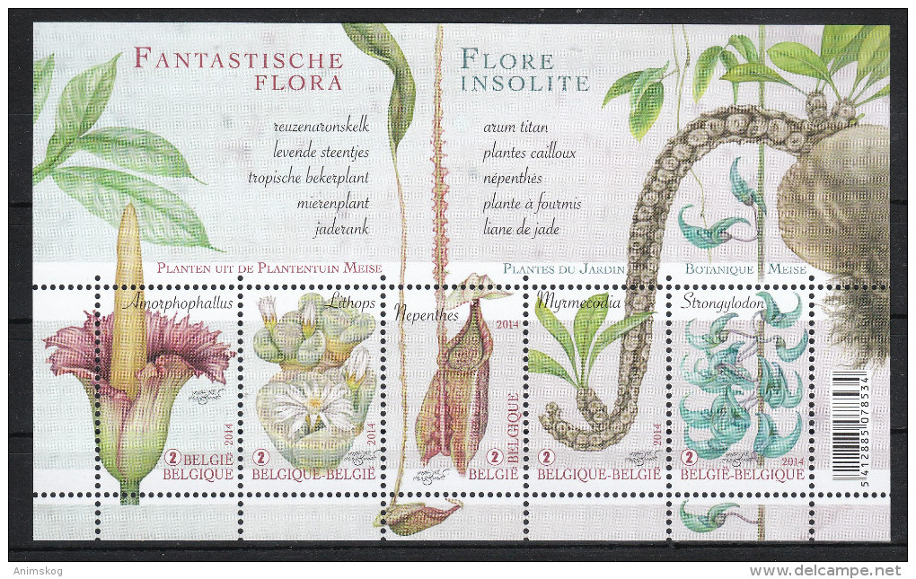 Belgien 2014**, Phantastische Flora, Sukkulenten / Belgium 2014, MNH, Phantastic Flora, Succulents - Sukkulenten