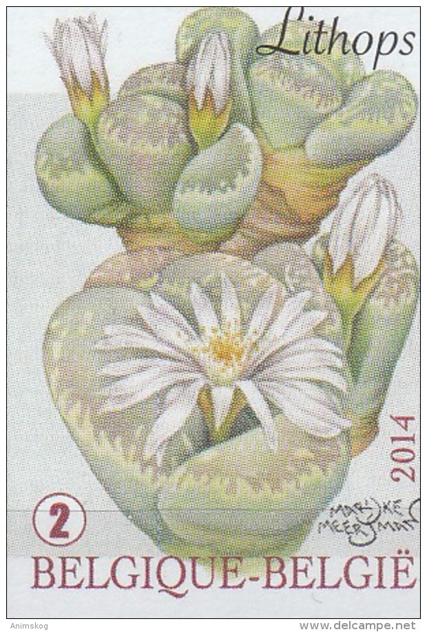 Belgien 2014**, Phantastische Flora, Sukkulenten / Belgium 2014, MNH, Phantastic Flora, Succulents - Sukkulenten