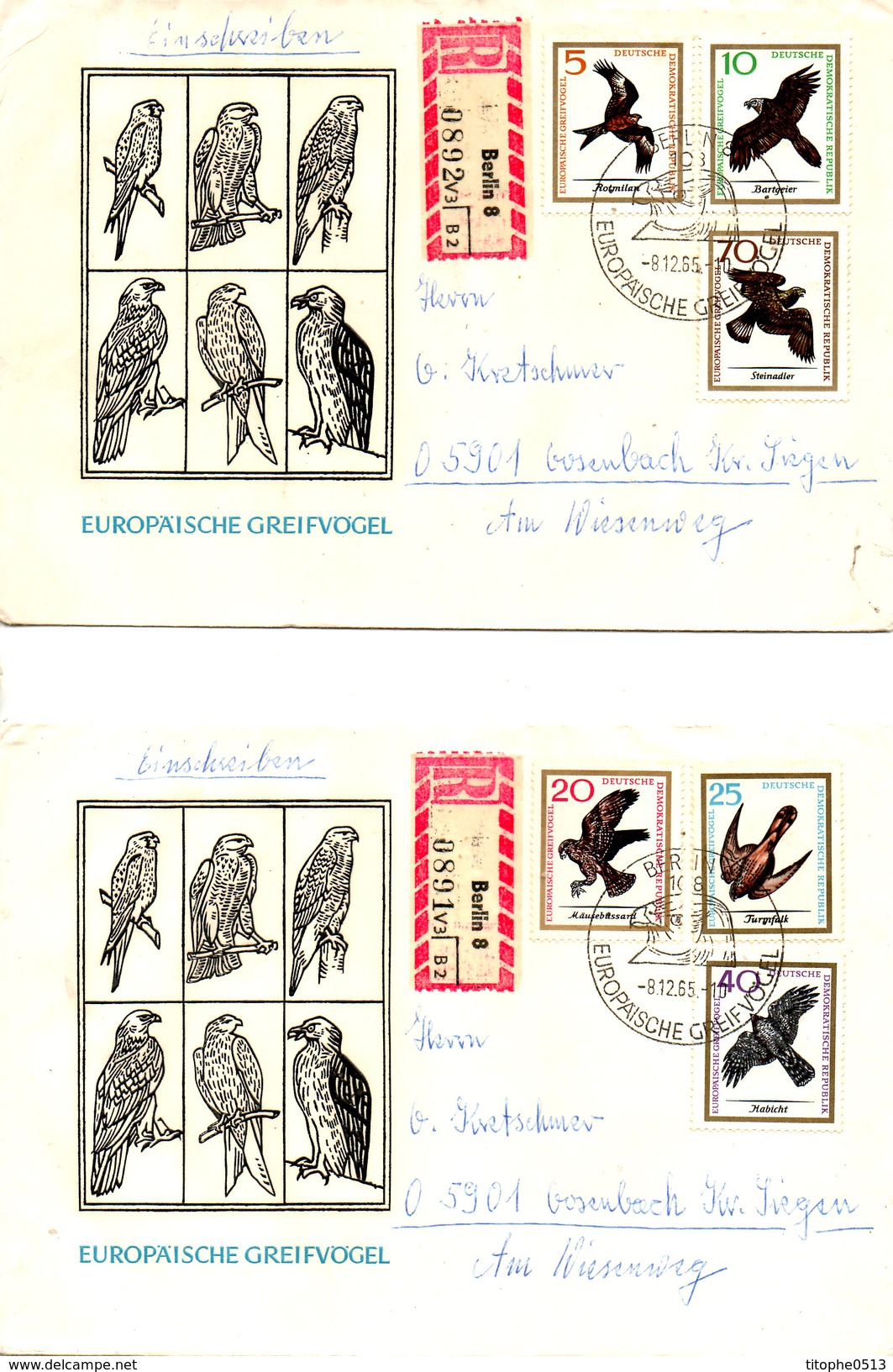 RDA. N°846-51 De 1965 Sur 2 Enveloppes 1er Jour Ayant Circulé. Aigle/Vautour. - Arends & Roofvogels