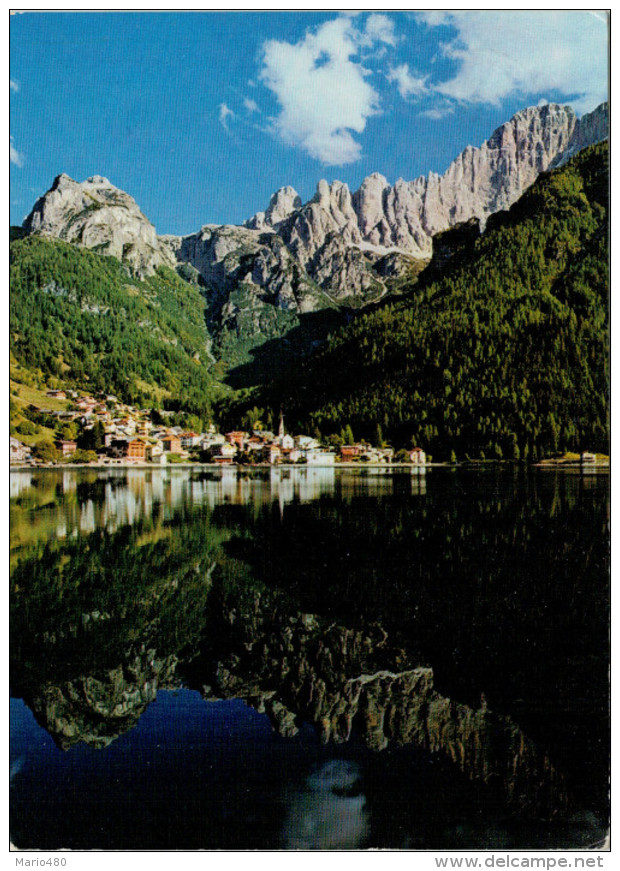 DOLOMITI   ALLEGHE  VERSO  IL CIVETTA  E  COLDAI     (VIAGGIATA) - Altri & Non Classificati