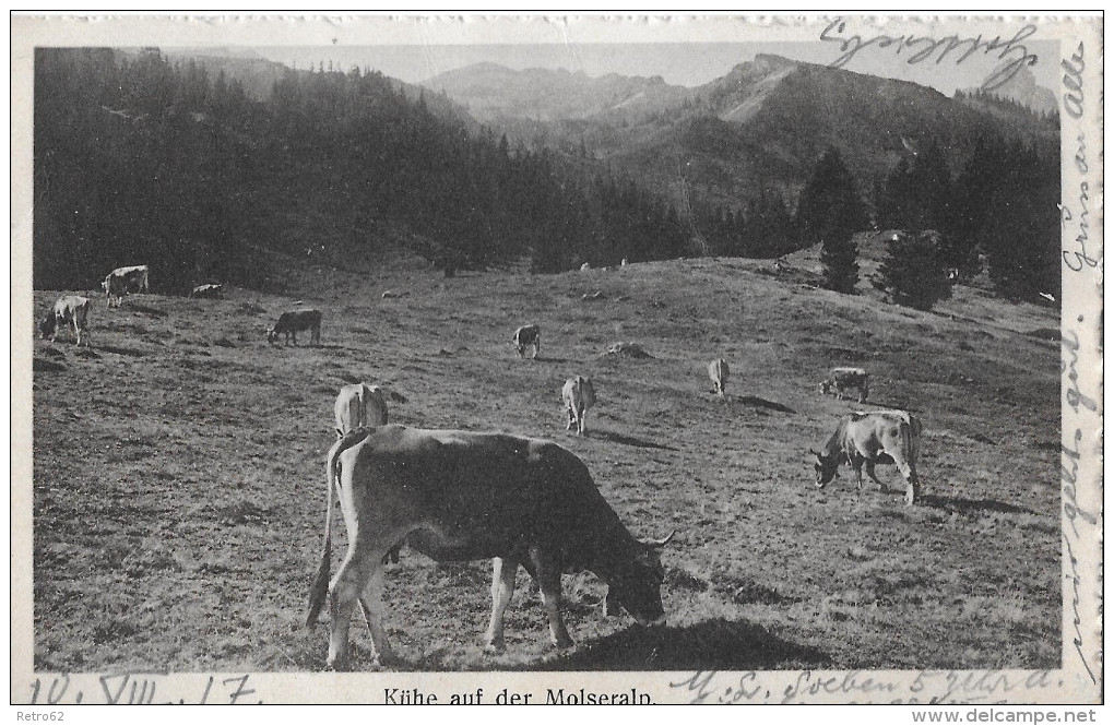 SCHIESSSCHULE  WALLENSTADT VIGNETTE &#8594; Karte Molseralp Mit Stempel BRIG.CAV.1 "le Quartiermaitre" - Vignetten