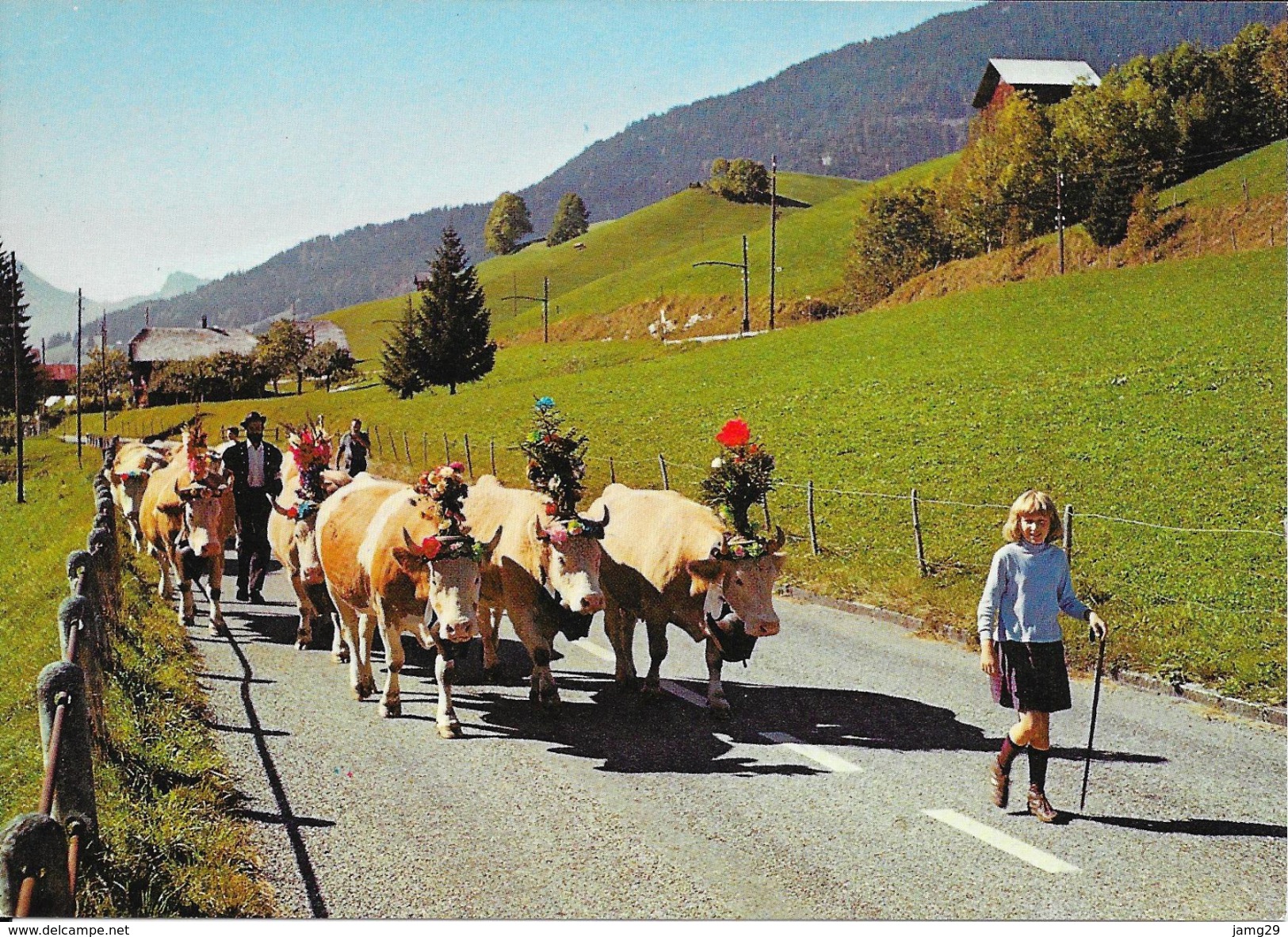 Zwitserland/Die Schweisz/Suisse, Alpaufzug, 1977 - Zug