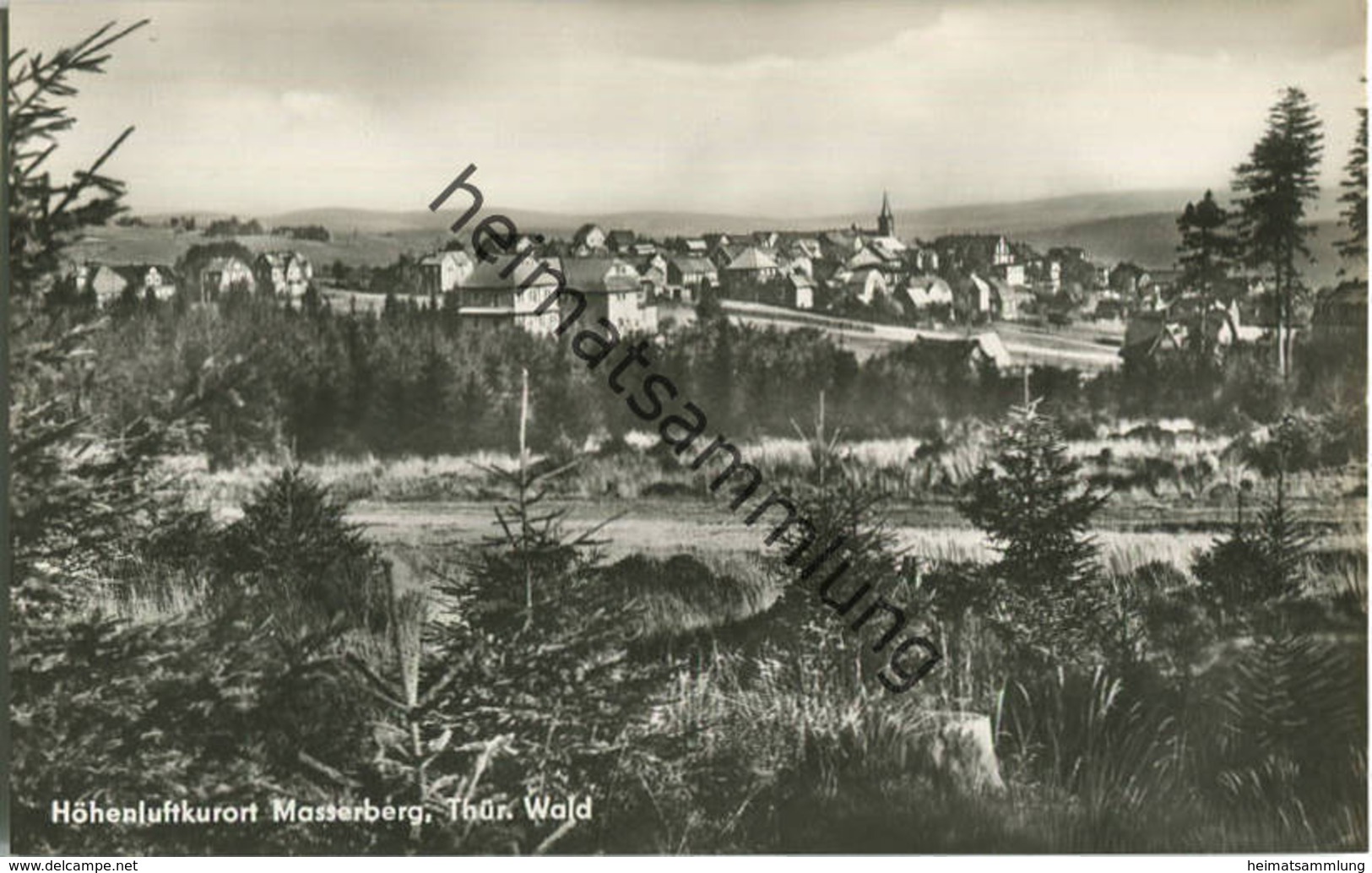 Masserberg - Foto-AK 60er Jahre - Verlag Richard Zieschank Rudolfstadt - Masserberg