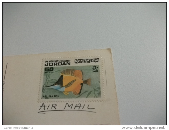 STORIA POSTALE FRANCOBOLLO COMMEMORATIVO PESCE FISH JORDAN  HEBRON - Giordania