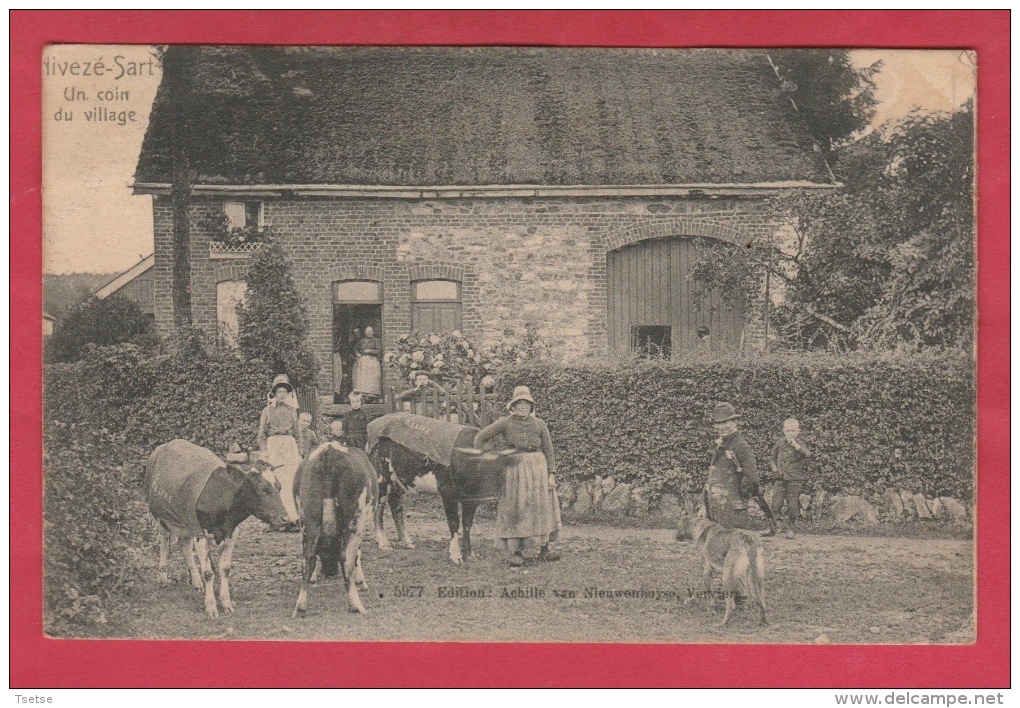 Nivezé-Sart - Un Coin Du Village... Ferme Blaise ?? ... Superbe Animation- 1903 ( Voir Verso ) - Jalhay